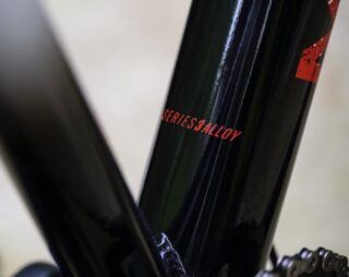 Detail image of the San Quentin downtube.