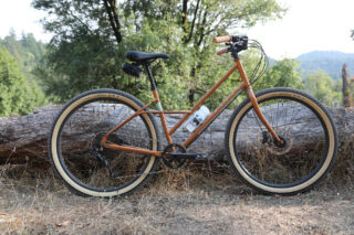 Marin Larkspur 2 bike leaning up against a log.